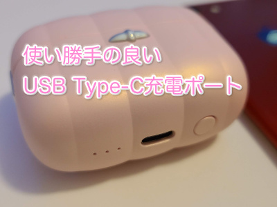 SVAKOM みみきのUSB Type-C充電ポート