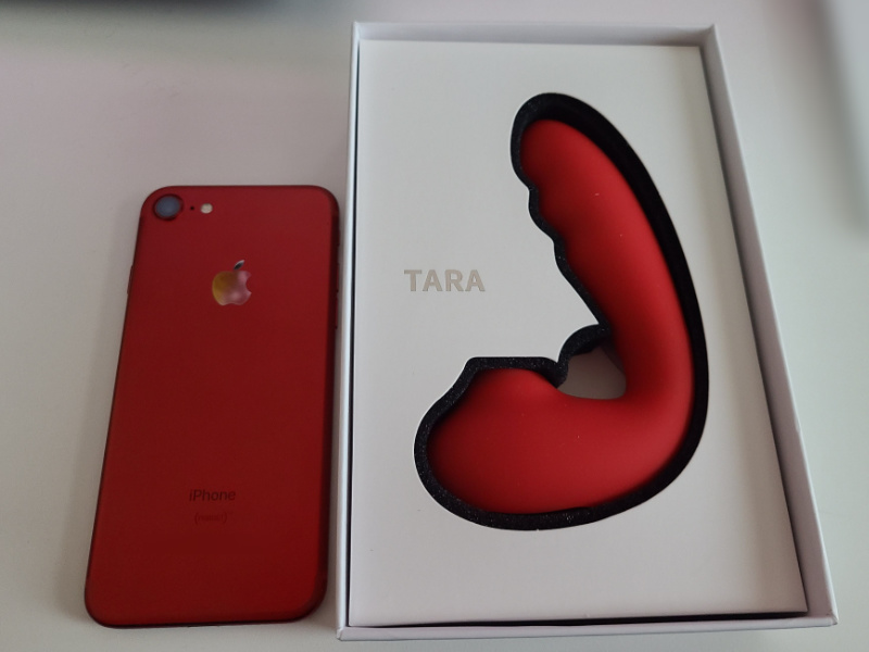 ToyCod Taraを開封した所