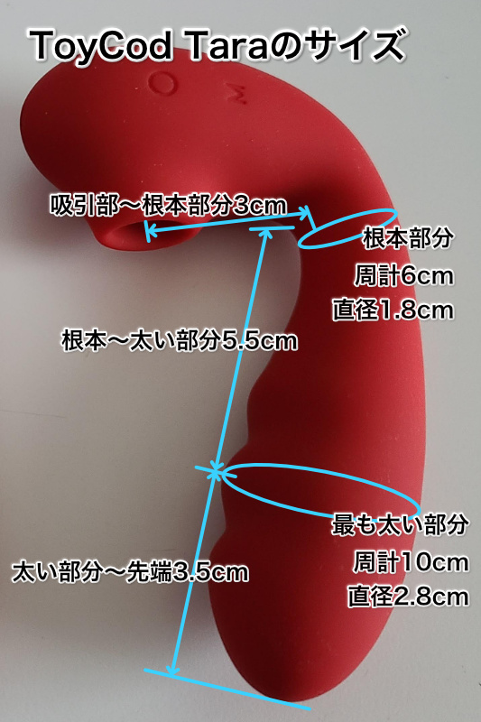 ToyCod Taraのサイズ
